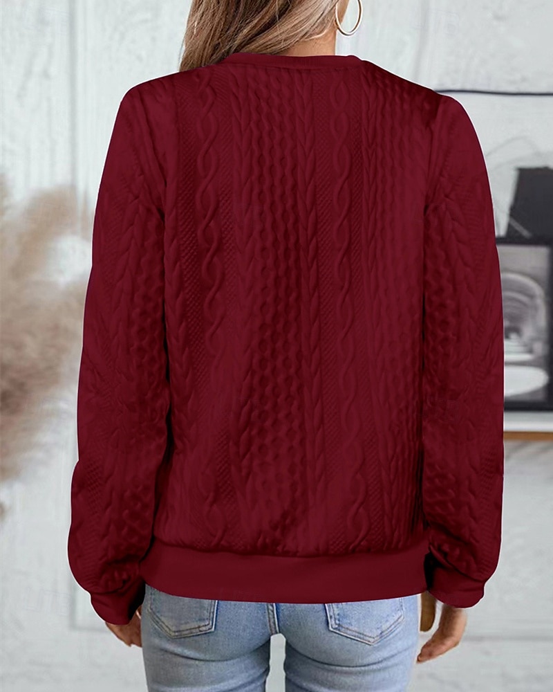 Per donna Felpa con texture Felpe Felpe con cerniera Semplice Streetwear Casual Comodo Manica Lunga Collo Alto Top Regolari Streetwear Ferie Uscire Zip a un quarto Bianco Rosa Vino Rosa scuro Blu del 2025 a $22.99 –P11