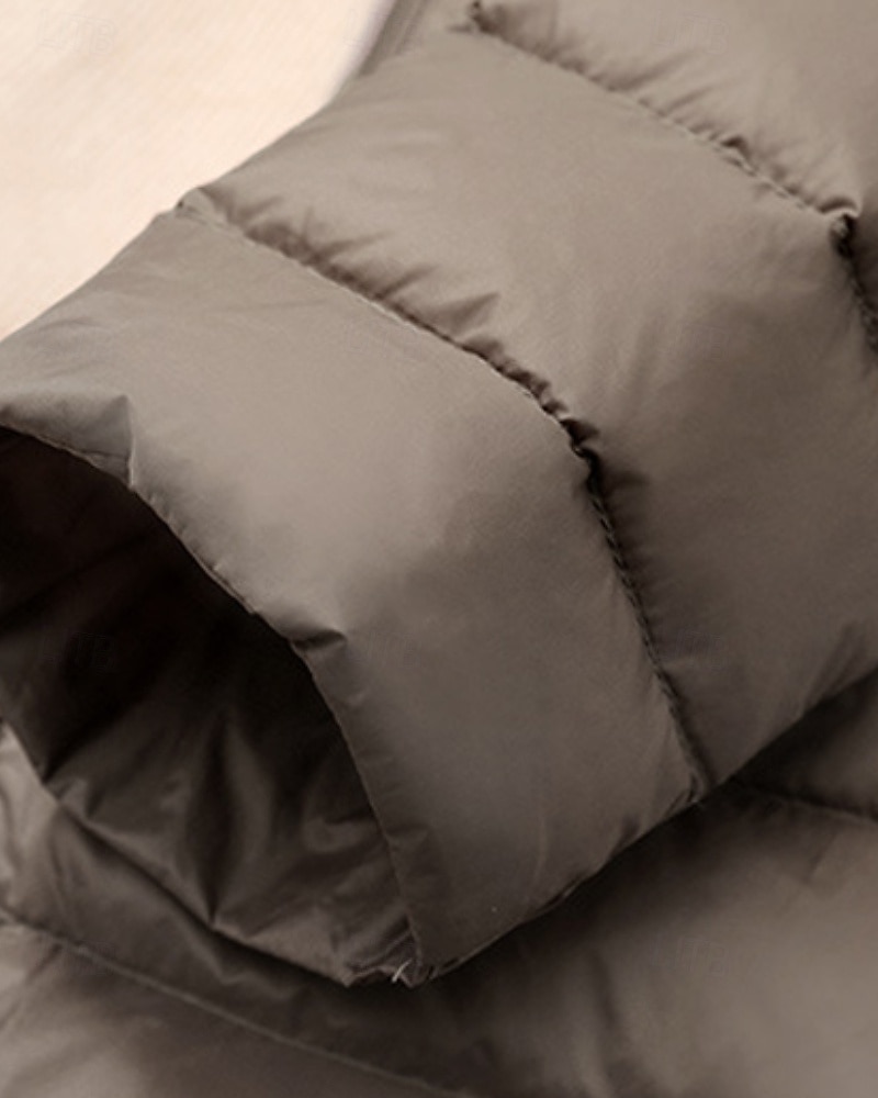 Femmes Doudoune Manteau Chaud Confortable Fermeture éclair Avec Poches Mode Uni Tenue quotidienne Sortir Décontracté Quotidien Week-end Fermeture éclair Long Col Rond Coupe régulière manche longue de 2025 ? $57.99 –P6