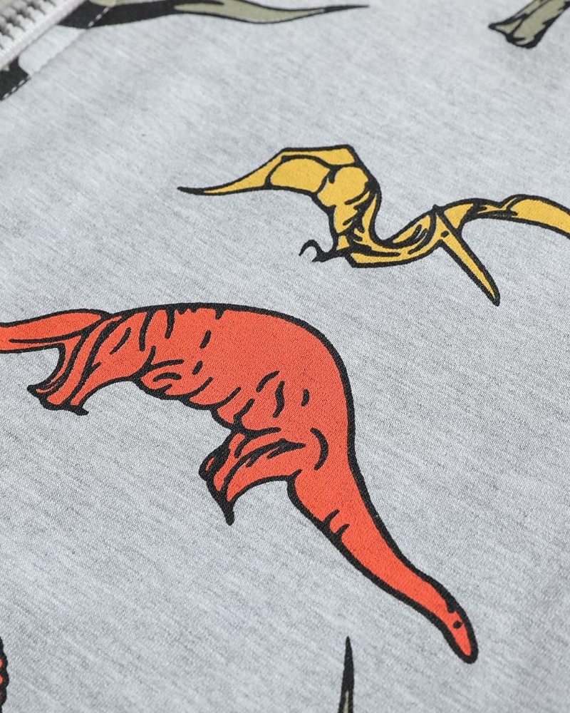 Barn Pojkar hoodie med dragkedja Tecknat Långärmad Dragkedja Höst Grundläggande Bomull Utomhus 2025 - $30.99 –P17