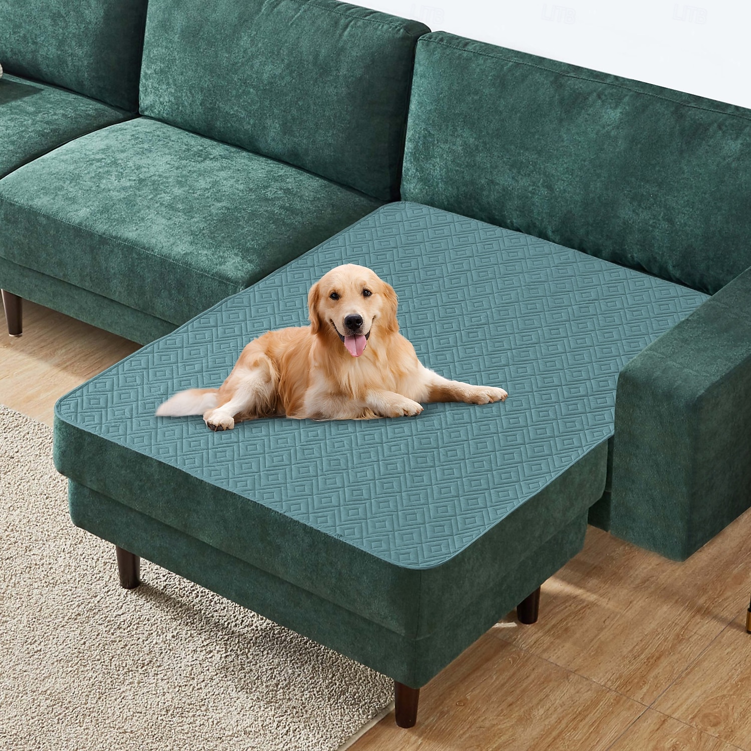 غطاء سرير حيوانات أليفة مقاوم للماء، واقي أريكة للكلاب لا ينزلق، وسادة أريكة قابلة للغسيل للحيوانات الأليفة 2026 - $20.99 –P6