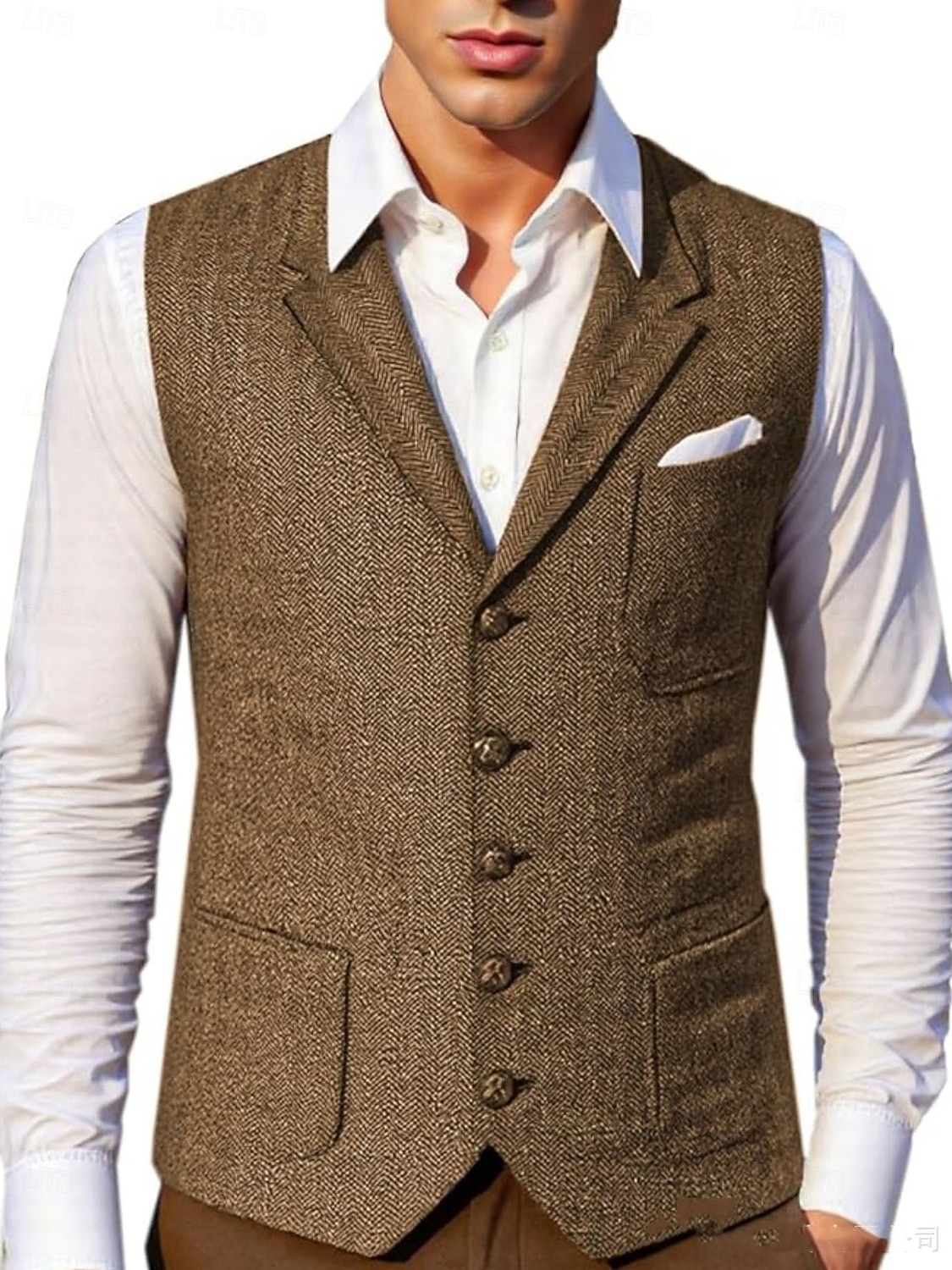 Retro Řvoucí 20s 20. léta 20. století Kamizelka Velký Gatsby Gentleman Maškarní kostým Pánské předvečer Všech svatých Karneval Večerní oslava Plesová maškaráda Dospělí Vesta 2025 - $39.99 –P1