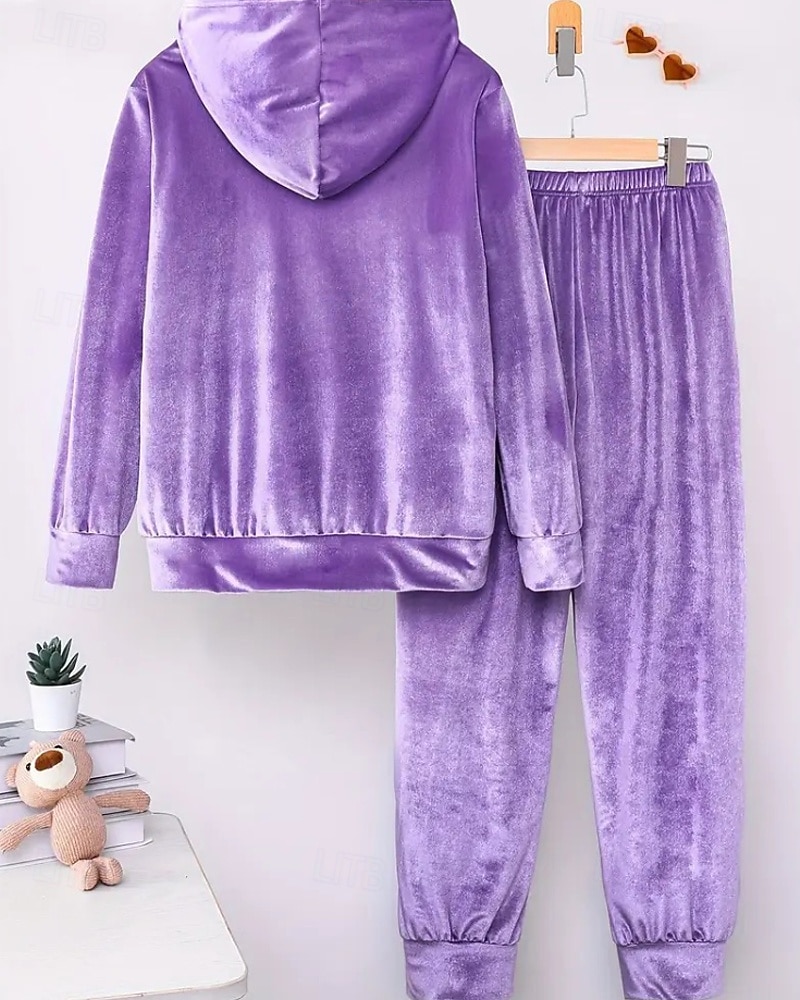 Dam Aktiv Streetwear Blus Huvtröja Byxuppsättningar Långärmad Huva Ensfärgat Rynkad Semester Dagliga kläder Rodnande Rosa Vin Blå Höst Normal 2025 - $31.99 –P17