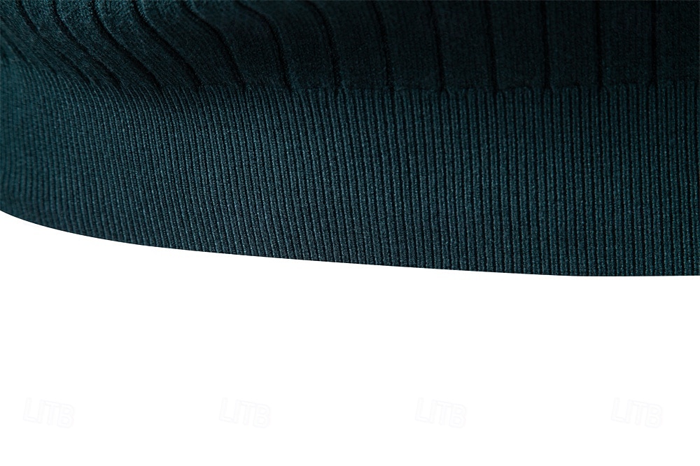Homme Pull Tricoter Hauts Réguliers Couleur Unie Col roulé Élégant ancien École Vacances Vêtement Tenue Printemps Automne Noir Marine foncé S M L de 2026 ? $26.99 –P6