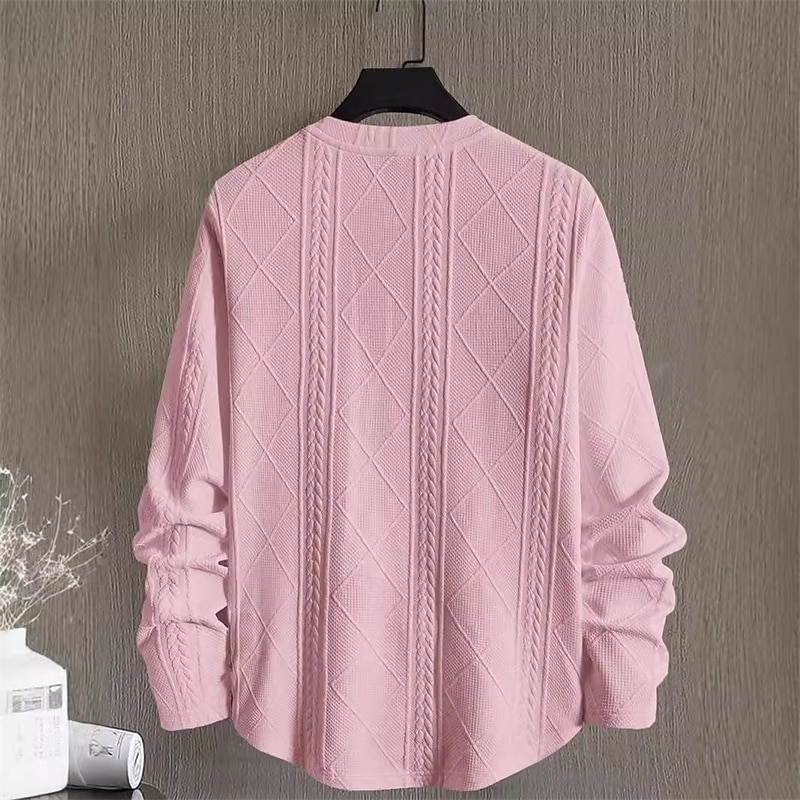 Herr Tröja Vit Rund hals Slät Jacquard Dagligen Sport & Utomhus Helgdag Polyester Streetwear Grundläggande Ledigt Vår Höst Kläder Pull Tröjor Långärmad 2026 - $28.99 –P9