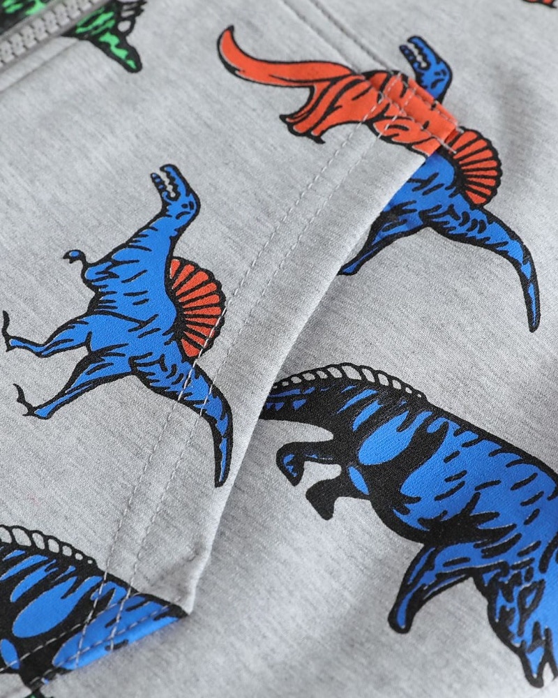 Barn Pojkar hoodie med dragkedja Tecknat Långärmad Dragkedja Höst Grundläggande Bomull Utomhus 2025 - $30.99 –P15