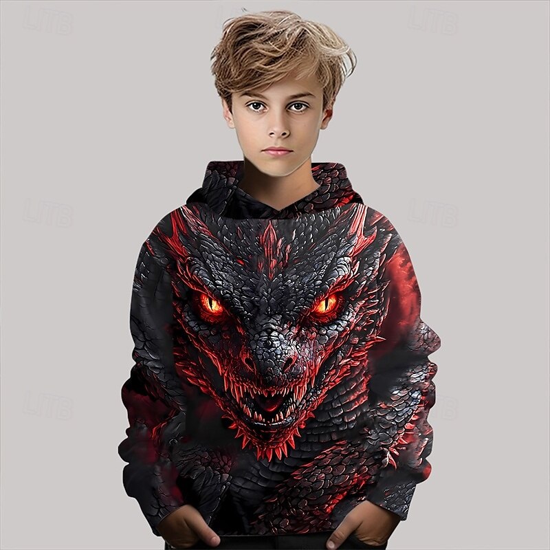 Pojkar 3D Drake Huvtröja Långärmad Vår Höst Mode Streetwear Barn 4-12 år Huva Utomhus Ledigt Dagligen Normal 2025 - $18.99 –P3