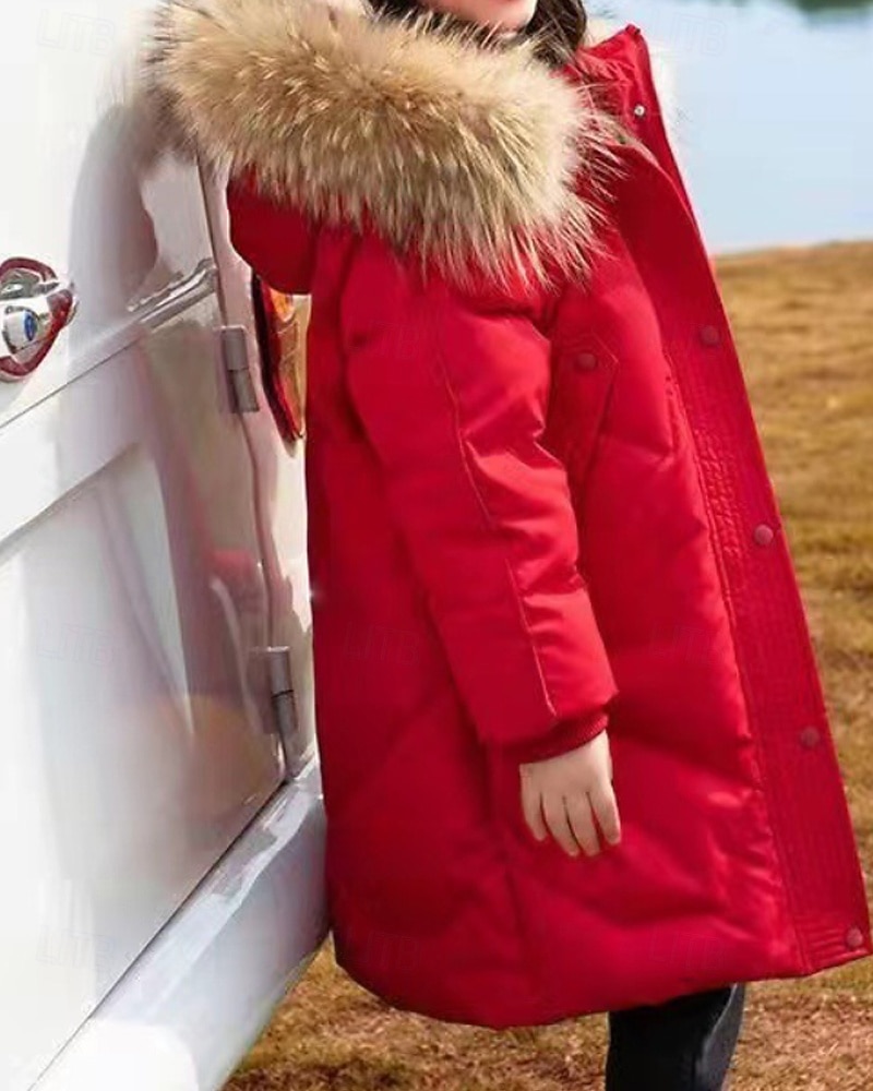 Copii Fete Jos Culoare solidă Modă Γούνινος Γιακάς Fermoar Buzunar Școală Palton Îmbrăcăminte exterioară 4-12 ani Iarnă Negru Roz Îmbujorat Roșu-aprins 2025 - $35.99 –P9