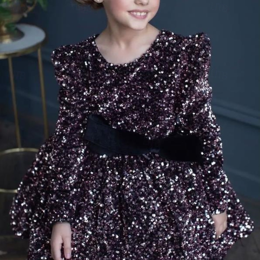 Kinder Mädchen Partykleid Einfarbig Langarm Leistung Netz Prinzessin Süß Netzstoff Knöchellang Etui-Kleid Tüllkleid Sommer Frühling Herbst Kinder Schwarz Weiß Wein 2025 - $79.99 –P13