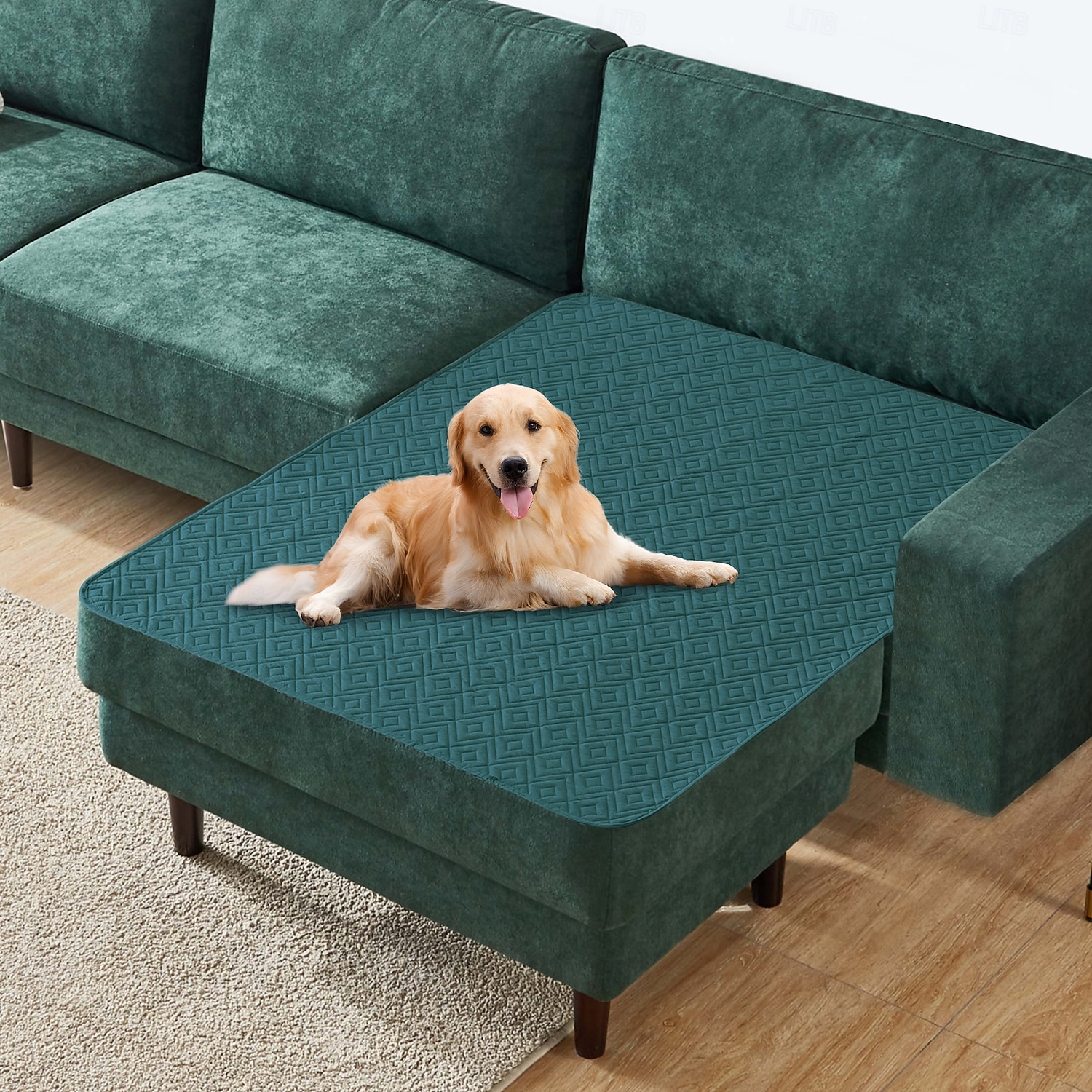 غطاء سرير حيوانات أليفة مقاوم للماء، واقي أريكة للكلاب لا ينزلق، وسادة أريكة قابلة للغسيل للحيوانات الأليفة 2026 - $20.99 –P12