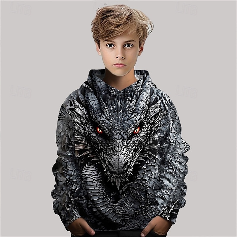 Pojkar 3D Drake Huvtröja Långärmad Vår Höst Mode Streetwear Barn 4-12 år Huva Utomhus Ledigt Dagligen Normal 2025 - $18.99 –P4