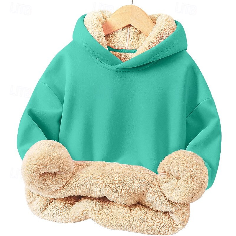 Barn Unisex Pojkar hoodie med dragkedja Ensfärgat Långärmad Vinter Mode Förtjusande Polyester Utomhus 2025 - $22.99 –P6
