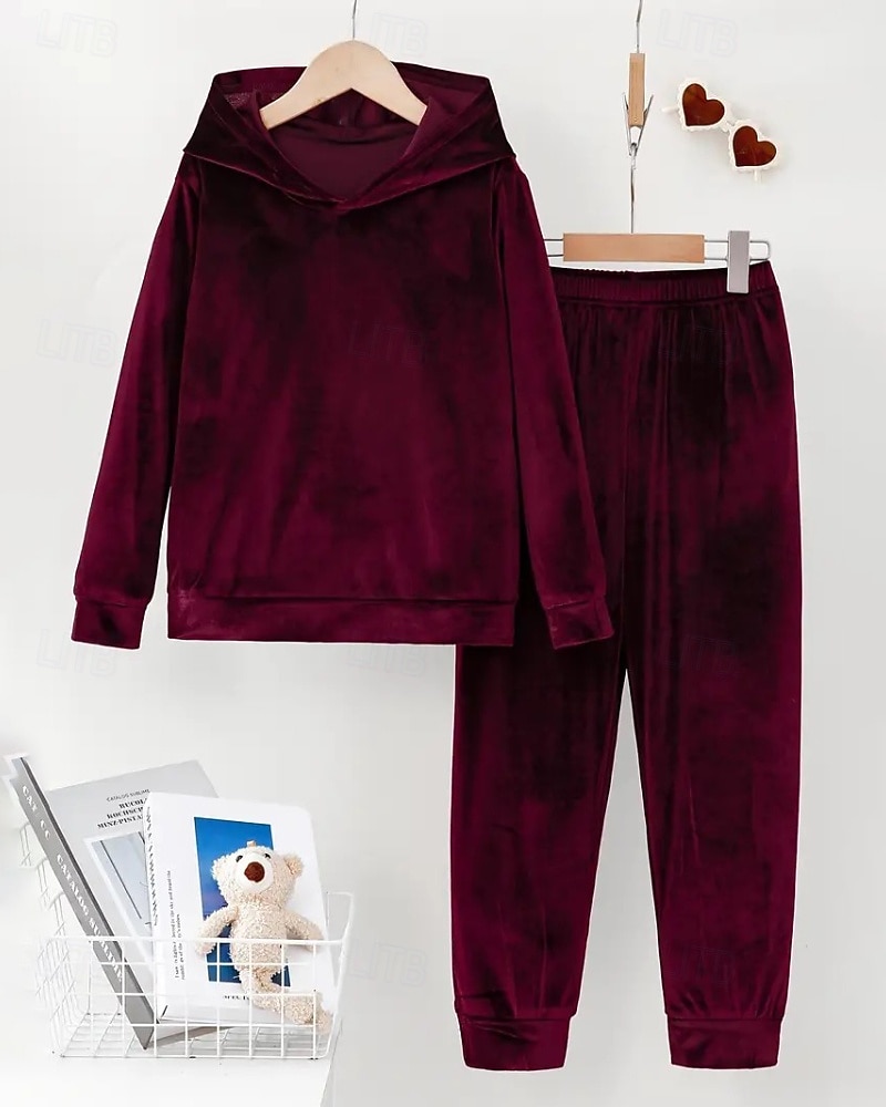 Dam Aktiv Streetwear Blus Huvtröja Byxuppsättningar Långärmad Huva Ensfärgat Rynkad Semester Dagliga kläder Rodnande Rosa Vin Blå Höst Normal 2025 - $31.99 –P6
