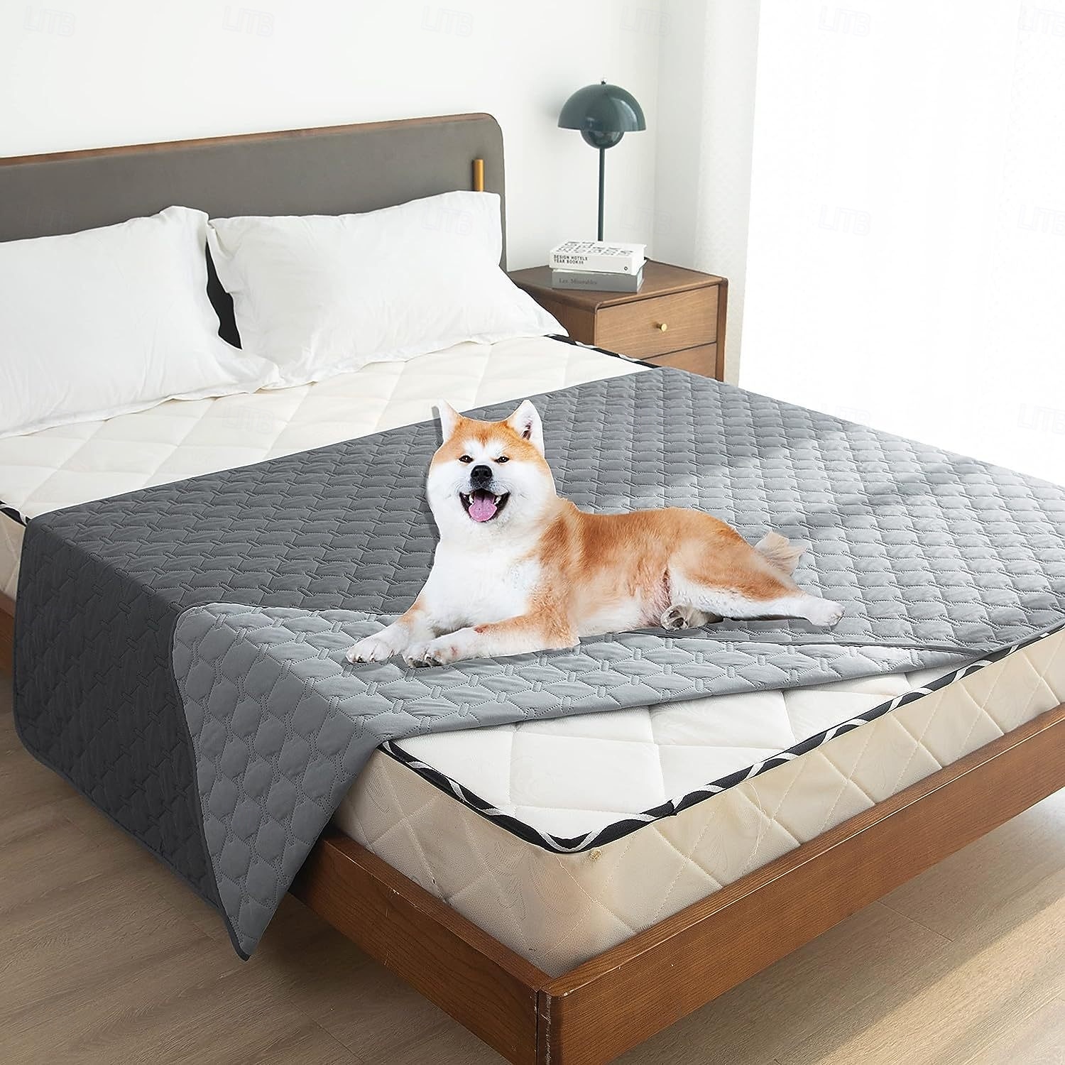 Dobbelt-sertifisert vanntett pet sofa matte ripe-resistent og håravstøtende møbelbeskytter sofa  seng dekke 2025 - $9.49 –P1