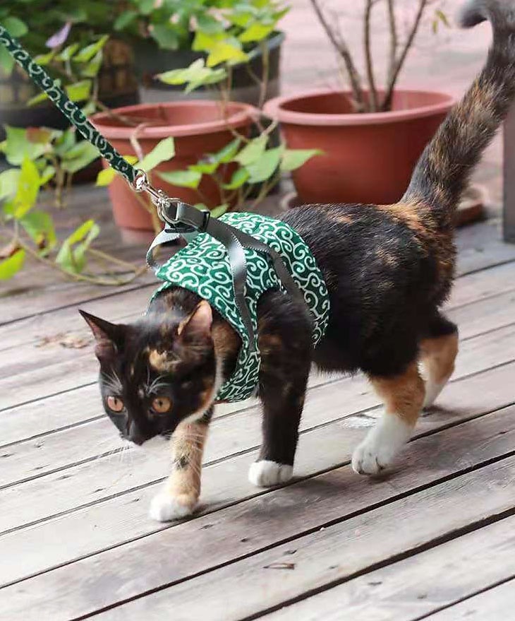 Cat Dogs Vest Harness and Leash, Anti-Break Away Chest Strap, Cats Clothes, Breathable Cat Harness Set, Escape Proof Soft Adjustable Vest Harnesses for Cats for Girl & Boy Cat Walking 2025 - $16.49 –P6