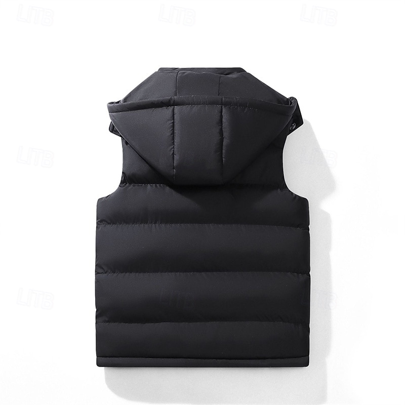 Pánské Puffer Vesta Kamizelka Vesta Dovolená Denní Rande Módní Na běžné nošení Podzim Zima Kapsy Polyester Zahřívací Pohodlné Pevná barva Zip Kapuce Běžný Černá Vodní modrá Vesta 2025 - $36.99 –P9