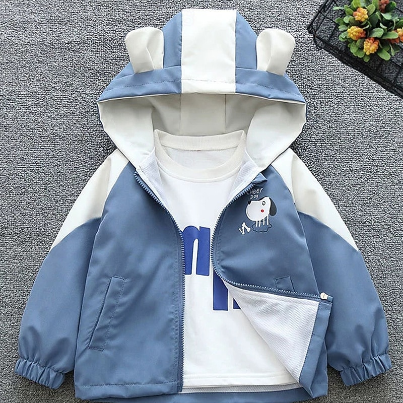 Barn Unisex Baseballjackor Ytterkläder Färgblock Långärmad Dragkedja Ficka Lättvikt Komfort Mjukt Täcka Utomhus Mode Dagligen Gul Ljusblå Vår Höst 4 år + 2025 - $20.99 –P2