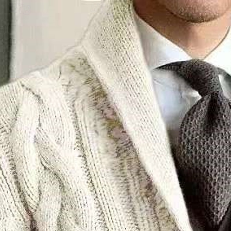 Bărbați Pulover Rochie Pulover Pulover Cardigan Striat Cablu Tricotat Topuri obișnuite Tricotat Simplu Șal  Guler Vacanță Modă Casual Purtare Zilnică Îmbrăcăminte Primăvară Toamnă Negru Gri Închis M 2026 - $39.99 –P10