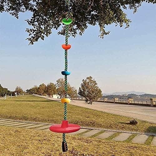balanço de árvore para crianças, conjunto de balanço de assento de disco 3 em 1, balanço para fora, 1 pacote de 2025 por $75.99 –P7
