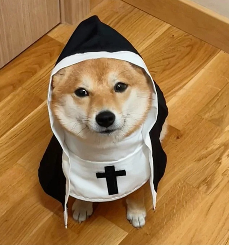 1dílný vtipný kostým jeptišky pro kočky a malé psy | černý hábit s bílým límcem a křížkem, nastavitelný | ideální na Halloween, večírky a focení, střední/velká/malá velikost 2025 - $15.49 –P8