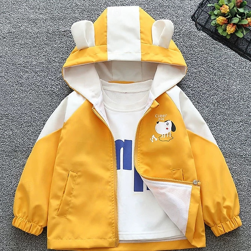 Barn Unisex Baseballjackor Ytterkläder Färgblock Långärmad Dragkedja Ficka Lättvikt Komfort Mjukt Täcka Utomhus Mode Dagligen Gul Ljusblå Vår Höst 4 år + 2025 - $20.99 –P5