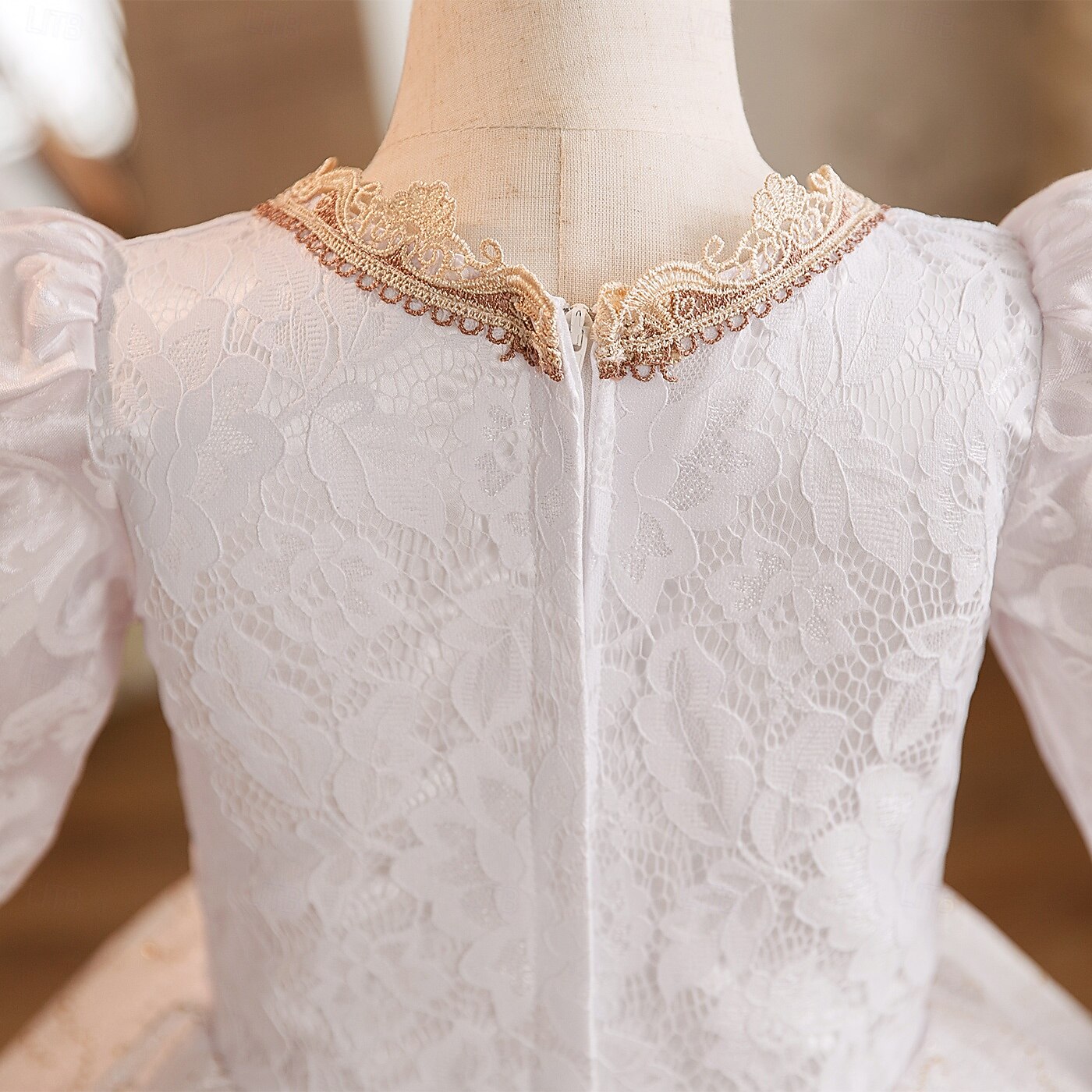 Рококо Стимпанк маскарадный Макси Костюм для вечеринки Аксессуары Летучая мышь Принцесса Бант Ретро С пышной юбкой Точка Маскарадный костюм Девочки Королевский Рождество Хэллоуин Карнавал 2025 - $178.99 –P6