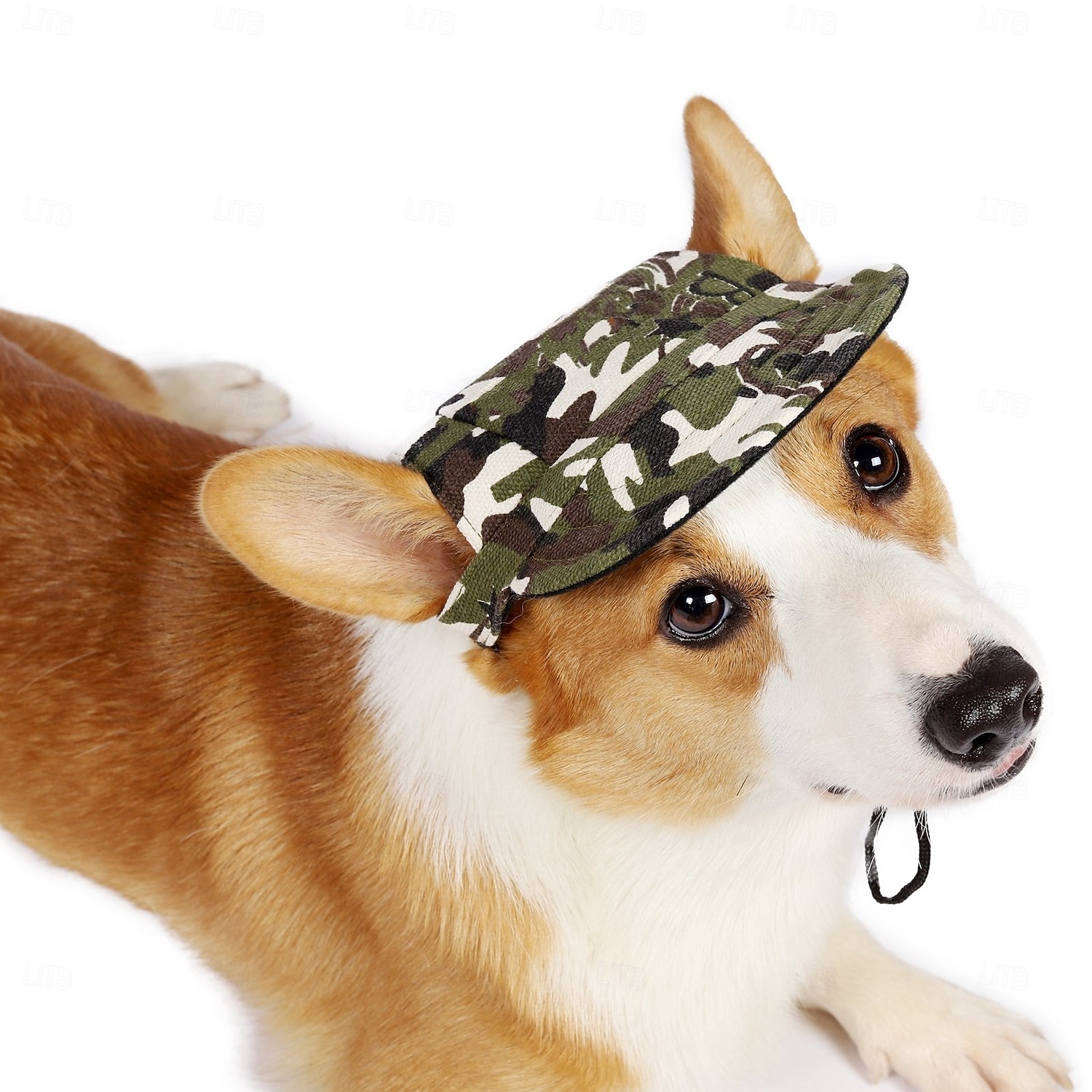 Hund Bandanas & Hüte Alltagstauglich Lässig / Sportlich Verstellbar Weich Waschbar Mode Bequem Outdoor Sport Innen Ferien Alltagstauglich Hundebekleidung for Katze Hund Husky Labrador Alaskan Malamute 2026 - $15.49 –P8