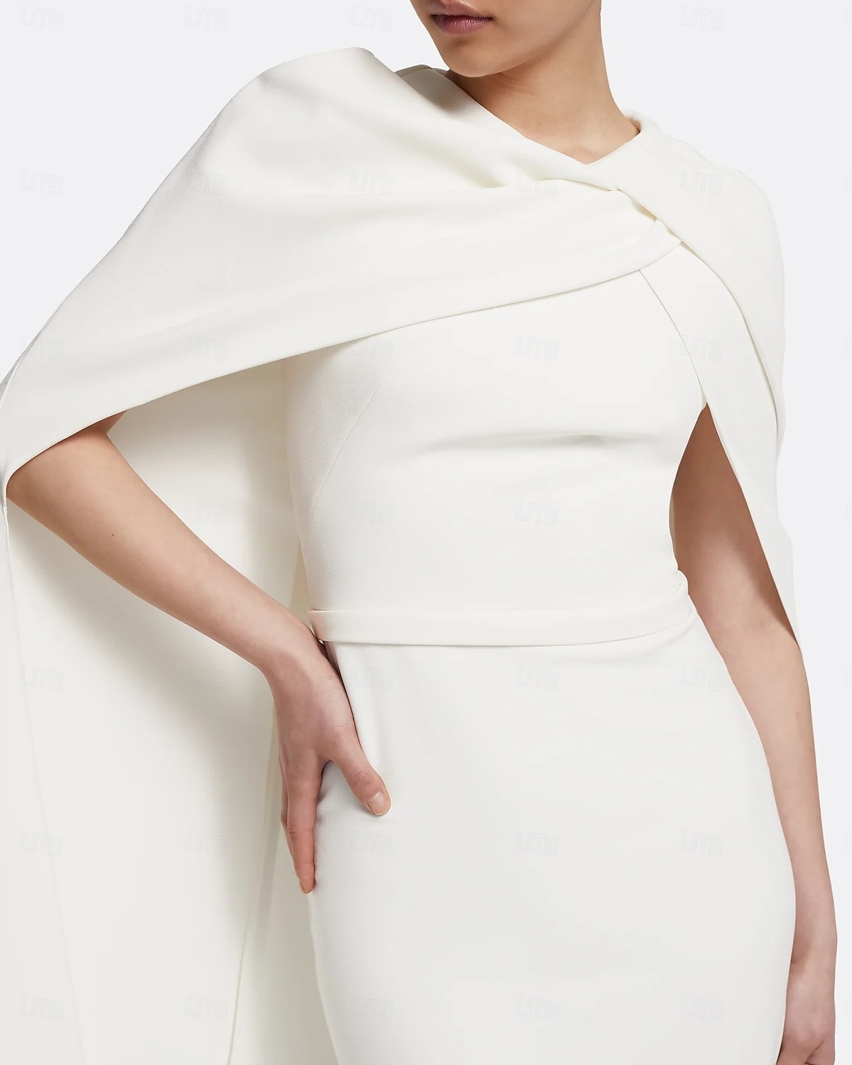 Sirène / Trompette Fourreau / Colonne Robe de Soirée Élégant Robe de soirée Formel Mariage Longueur au sol Sans manches Col haut Capes Crêpe Extensible avec Châle 2025 de 2025 ? $134.99 –P3