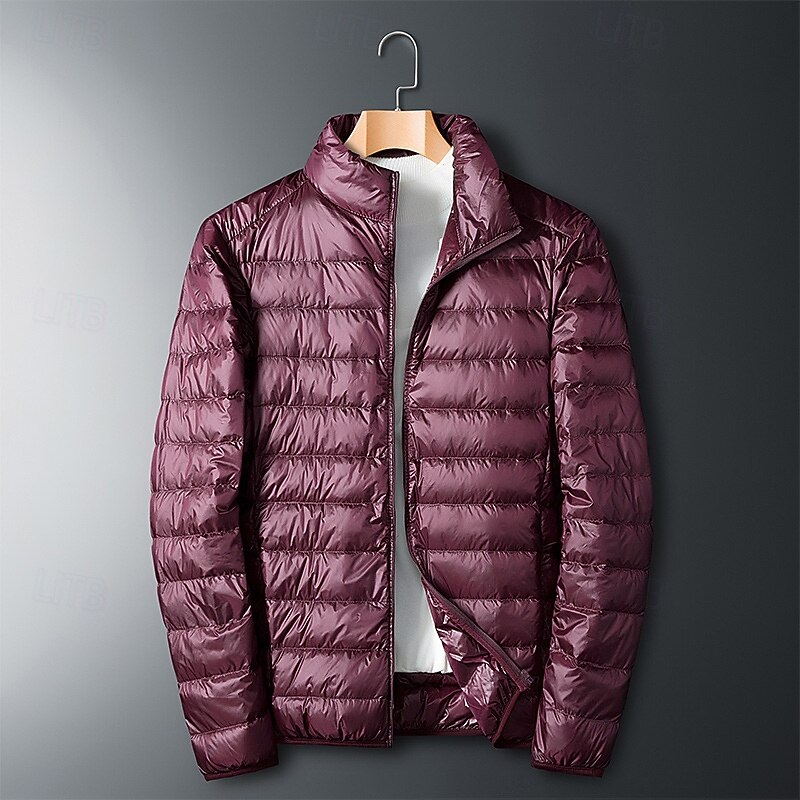 Men's Winter Coat Puffer Jacket Padded Jacket Pocket Polyster Vacation Daily Wear Date Regular Fashion Casual Comfortable Thermal Warm Fall Winter Solid / Plain Color Wine Black Royal Blue Dark Blue 2026 - $45.99 –P14