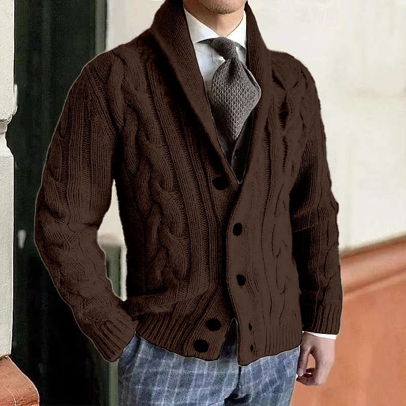 Bărbați Pulover Rochie Pulover Pulover Cardigan Striat Cablu Tricotat Topuri obișnuite Tricotat Simplu Șal  Guler Vacanță Modă Casual Purtare Zilnică Îmbrăcăminte Primăvară Toamnă Negru Gri Închis M 2026 - $39.99 –P7