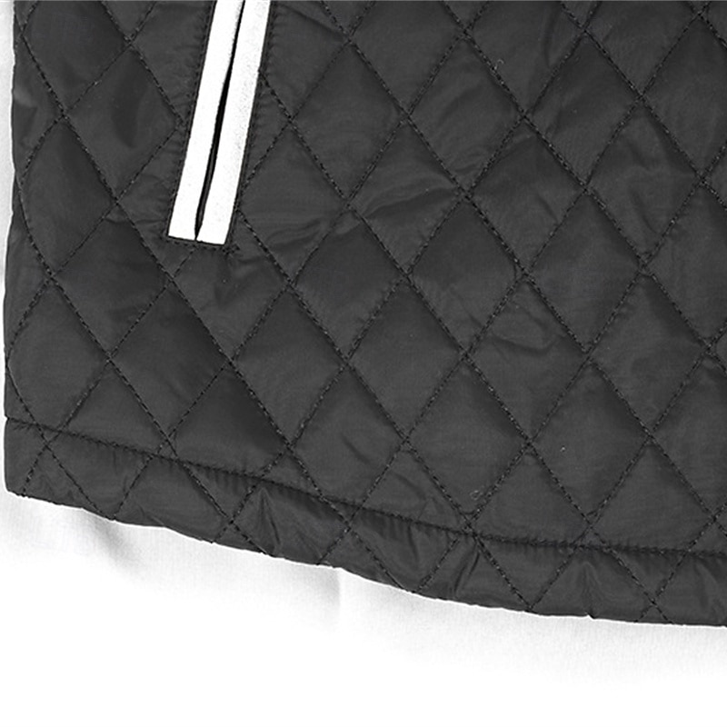 Herr Quiltad jacka Vardaglig jacka Semester Dagligen Håller värmen Lappverk Ficka Höst Vinter Färgblock Mode Klassisk Hög krage Normal Svart Blå Kaki Armégrön Jacka 2025 - $60.99 –P11