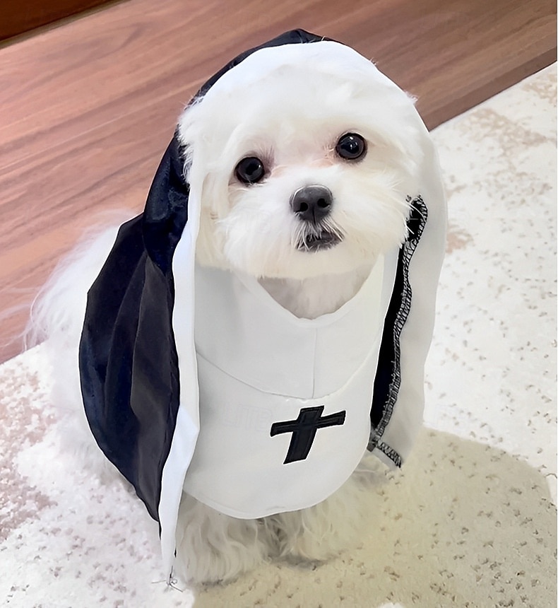 1dílný vtipný kostým jeptišky pro kočky a malé psy | černý hábit s bílým límcem a křížkem, nastavitelný | ideální na Halloween, večírky a focení, střední/velká/malá velikost 2025 - $15.49 –P5
