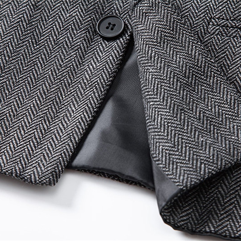 Herren Weste Gilet Urlaub Party Geschäft Mode Lässig Frühling Herbst Tasche Knöpfe Polyester Bequem Karomuster Streifen Einreihig Ein-Knopf Stehkragen Normale Passform Wein Marineblau Dunkelgray 2026 - $35.99 –P19