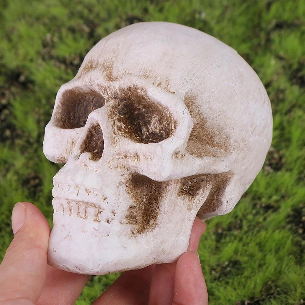 1 pezzo di braciere ignifugo in ceramica per Halloween, teschio, statuetta a forma di testa di scheletro in fiamme per camino o braciere, spaventoso accessorio per feste di Halloween e spaventosa del 2025 a $7.99 –P6