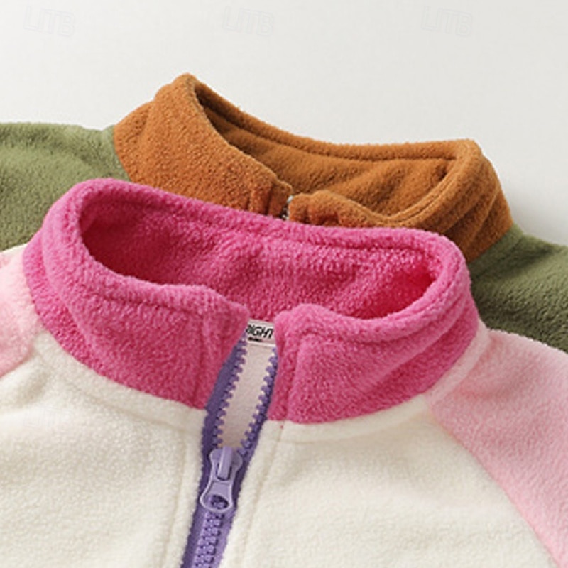 Barn Pojkar Fleece-jacka Friluftsjacka Kappa Ytterkläder Färgblock Långärmad Dragkedja Ficka Komfort Håller värmen Mjukt Täcka Utomhus Mode Dagligen Rodnande Rosa Grön Vår Höst 4 år + 2025 - $32.99 –P6