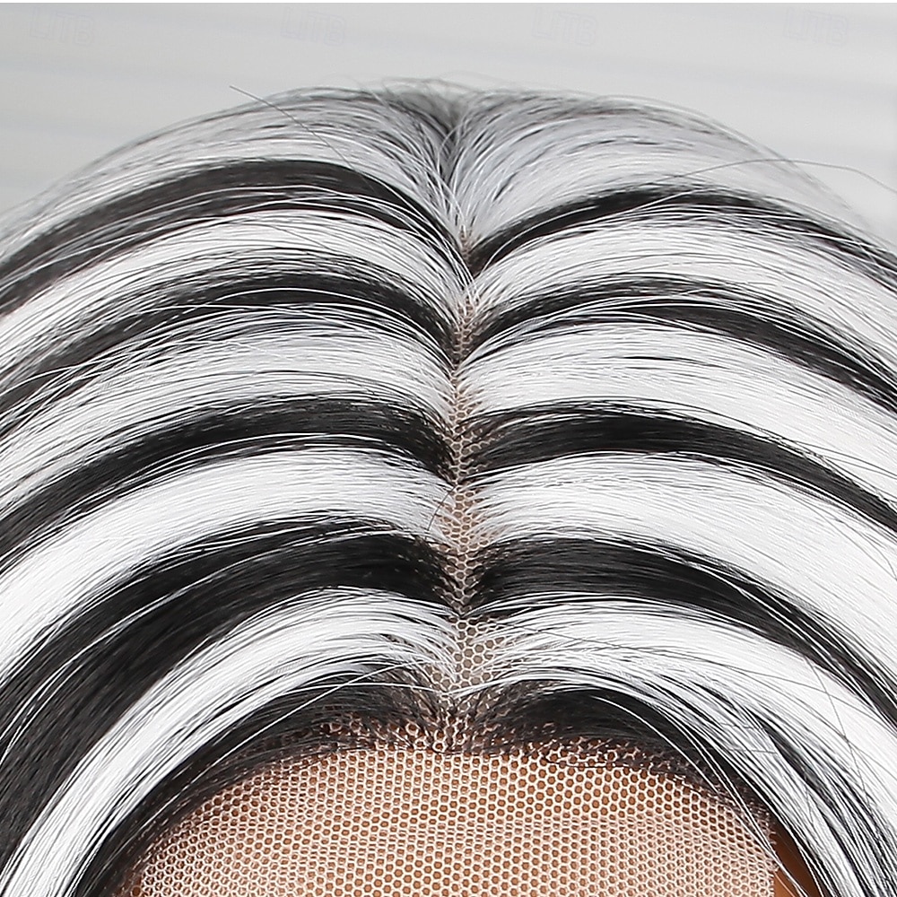 Synthetic Lace Wig Curly Style 26 inch Mixed Color Middle Part U Part Wig Women's Wig Black & White 2025 - $40.99 –P8