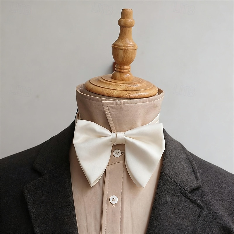 Herr Fluga Modernt Modernt Rosett Enfärgad / vanlig färg Bröllopsfest Dagliga kläder 2025 - $7.99 –P4