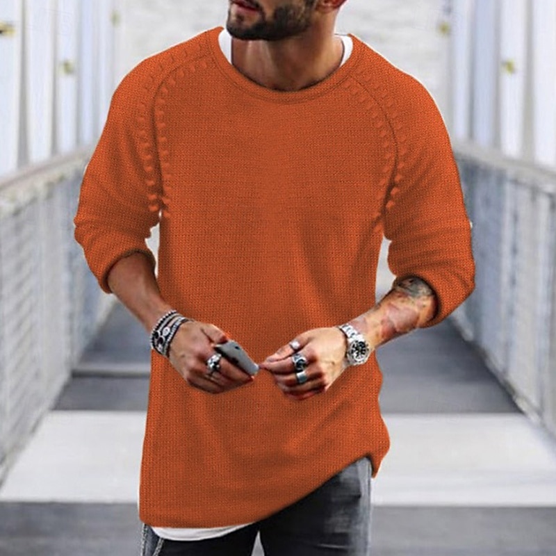 Муж. Вязаная ткань Пуловер Вязать Обычный Однотонный Вырез под горло Свитера Повседневные Одежда Рукав «реглан» Зима Зеленый Черный M L XL 2026 - $30.99 –P6