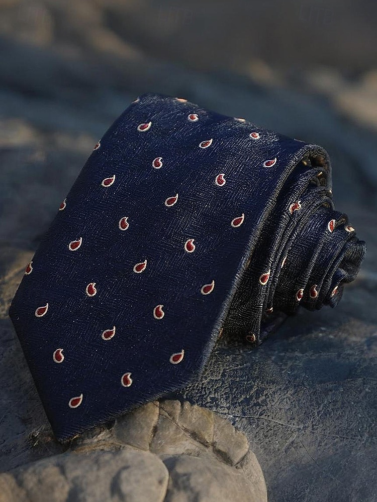 Cravate en soie pour homme, classique, rayée et cachemire, accessoire de fête de mariage d'affaires formel, cadeau de Noël élégant pour lui de 2026 ? $11.99 –P9