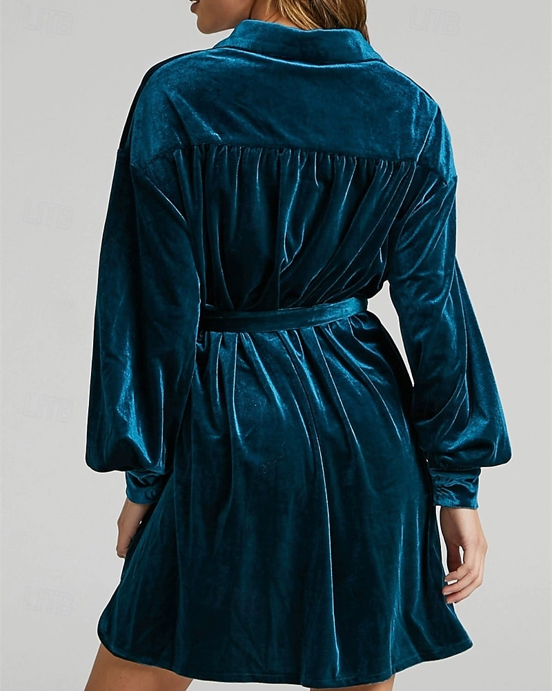 Femmes Robe Midi Robe Décontractée Mode Classique Moderne Extérieur Vacances Fête Coupe régulière Uni manche longue Col de chemise Violet Marron Vert Été de 2025 ? $26.99 –P3