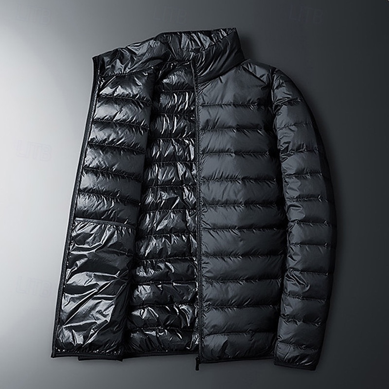 Men's Winter Coat Puffer Jacket Padded Jacket Pocket Polyster Vacation Daily Wear Date Regular Fashion Casual Comfortable Thermal Warm Fall Winter Solid / Plain Color Wine Black Royal Blue Dark Blue 2026 - $45.99 –P4