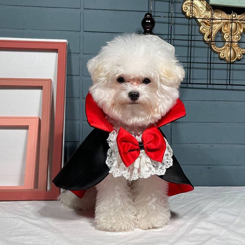 Costum de pelerină de Halloween pentru animale de companie - design de vampir roșu și negru cu bretele reglabile, îmbrăcăminte pentru toate anotimpurile pentru câini și pisici de talie mică/medie/mare, pentru petreceri de Halloween și evenimente tematice, 2025 - $15.49 –P4