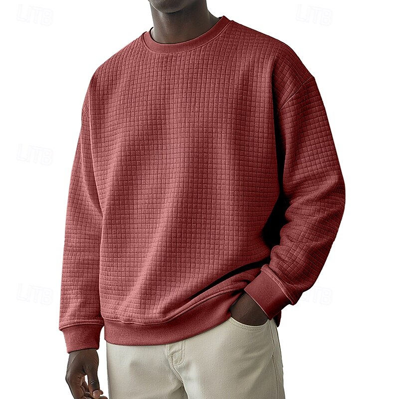 Homens Moletom Moletom Waffle Estacionar Cinza Claro Gola Redonda Tecido Textura Casual Diário Desportos e Ar livre Roupa de rua Legal Roupa de Esporte Primavera & Outono Roupa Moletons Moletons de 2026 por $24.99 –P1