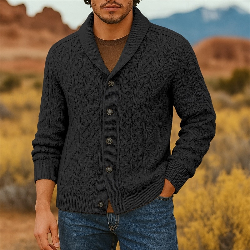 Herren Pullover Strickjacke Gerippt Zopfmuster Stricken Normale Oberteile Gestrickt Einfach Schalkragen Urlaub Mode Lässig Alltagskleidung Bekleidung Frühling & Herbst Schwarz Weiß S M L 2026 - $45.99 –P2