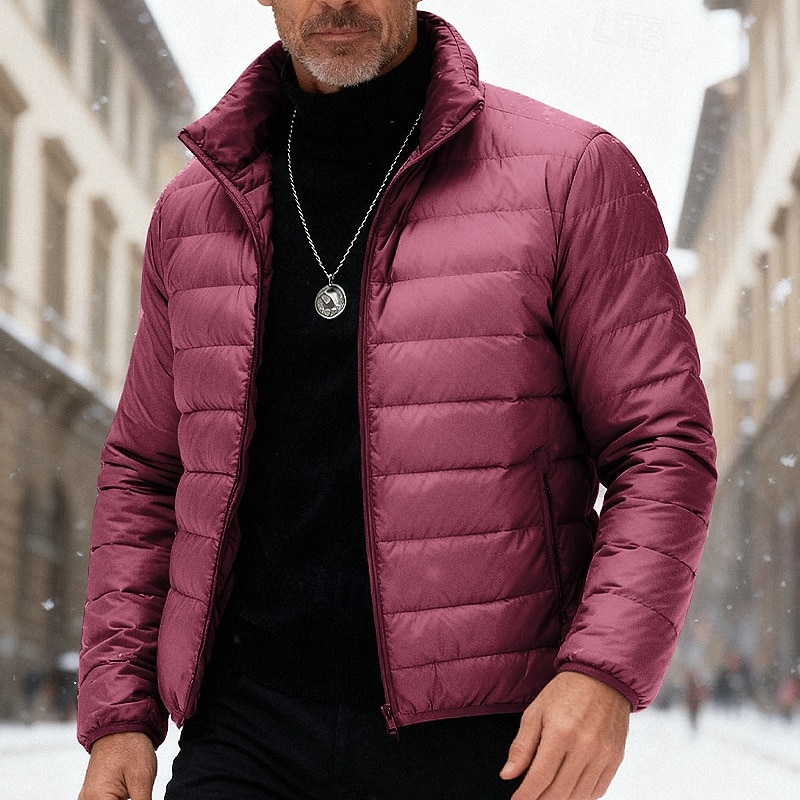 Homens Casaco de inverno Baixa Casaco puffer Jaqueta acolchoada Bolsos 50% de pato branco Férias Roupa Diária Encontro Padrão Moda Casual Confortável Térmico / Quente Outono Inverno Cor Sólida de 2026 por $56.99 –P18