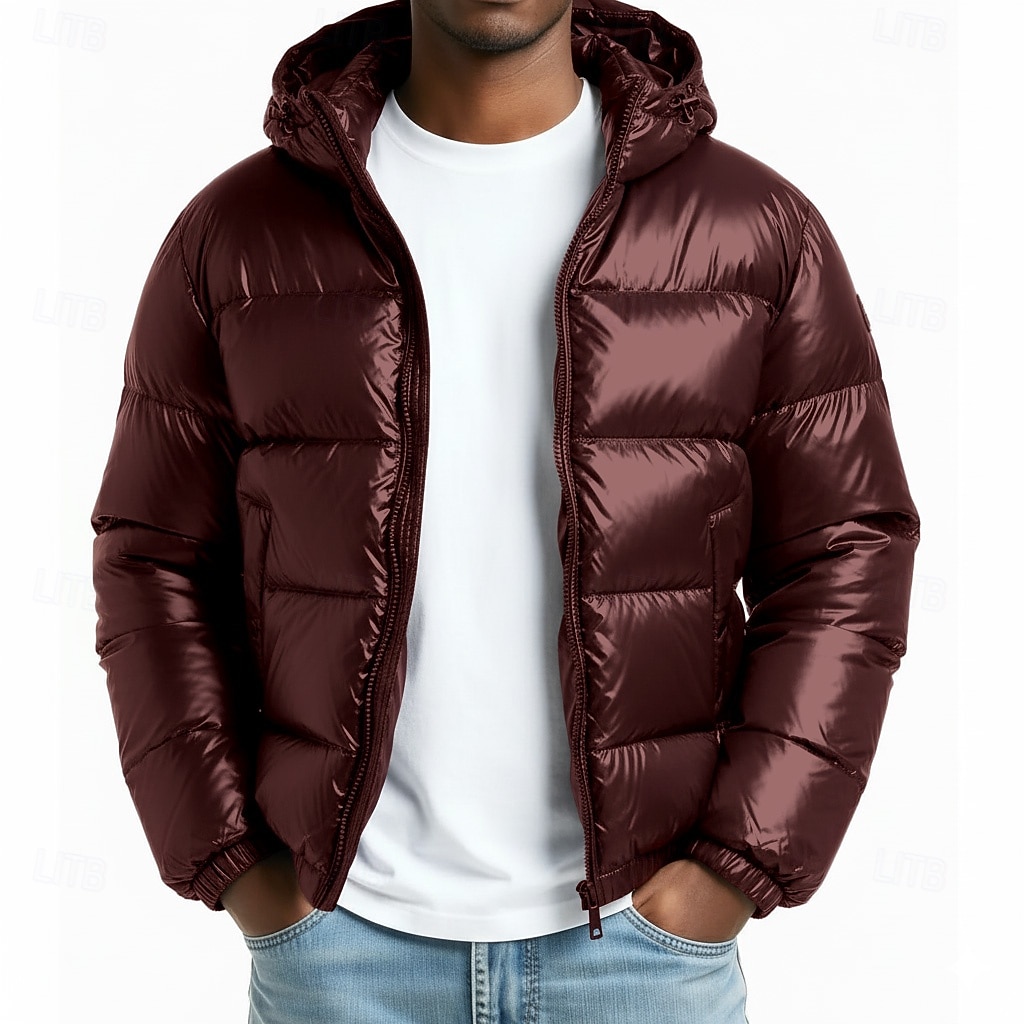 Pánské Zimní kabát Puffer bunda Prošívaná bunda Přechodová bunda Dovolená Ležérní Zahřívací Kostka Kapuce Zima Podzim zima Plná / Jednobarevná Módní Na běžné nošení Kapuce Krátké Černá Fialov 2025 - $58.99 –P2