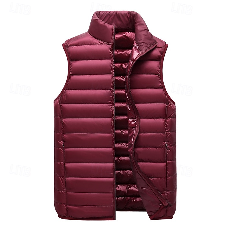Ανδρικά Κάτω γιλέκο Γιλέκο Puffer Veste Gilet Καπιτονέ γιλέκο Διακοπές Καθημερινά Ημερομηνία Μοντέρνα Καθημερινό Φθινόπωρο & Χειμώνας Τσέπη Πούπουλαπάπιας Πολυεστέρας Διατηρείτε Ζεστό Άνετο 2026 - $47.99 –P3