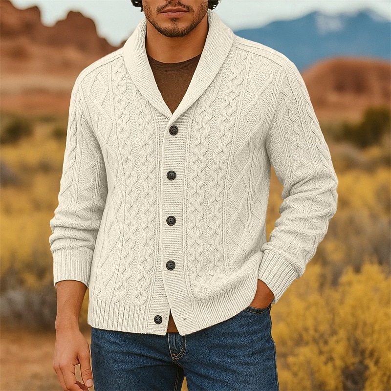 Herren Pullover Strickjacke Gerippt Zopfmuster Stricken Normale Oberteile Gestrickt Einfach Schalkragen Urlaub Mode Lässig Alltagskleidung Bekleidung Frühling & Herbst Schwarz Weiß S M L 2026 - $45.99 –P1