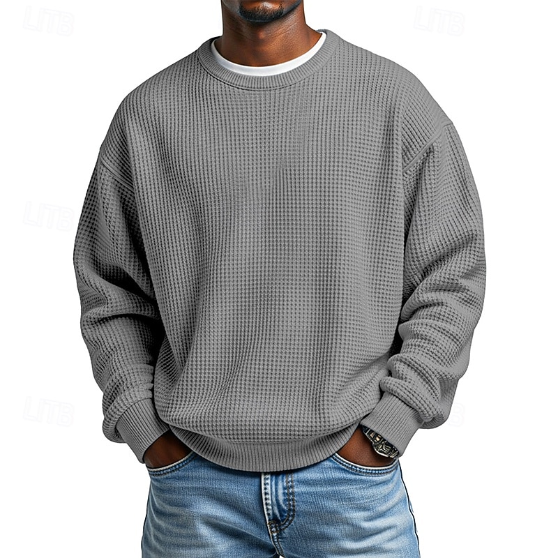 Per uomo Maglia Felpa a nido d'ape Maglione Aalbicocca Bianco Girocollo Semplice Testurizzato Casuale Quotidiano Sport & Outdoor Poliestere Streetwear Cool Abbigliamento Sportivo Primavera & Autunno del 2026 a $24.99 –P3