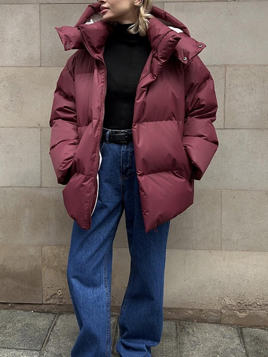 Dam Anorak Bekväm Andningsfunktion Dragkedja Ficka Ledigt Slät Semester Gata Ledigt Dagliga kläder Enkelknäppt Normal Huva Normal Långärmad Ytterkläder Svart Vin Brun Vår Höst 2025 - $109.99 –P9