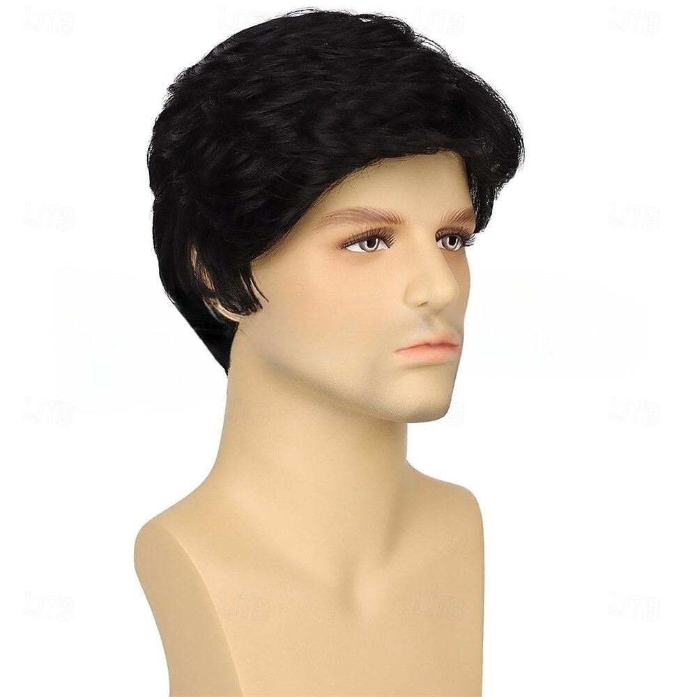 Men's Black Wigs Short Wigs Natural Looking Heat Resistant Synthetic Hair with Adjustable Cap Black 180g 2026 - $21.99 –P3